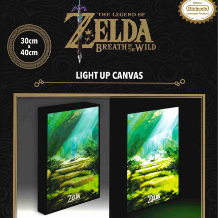 The Legend of Zelda Master Sword Nintendo - Light Canvas 40X30 Cm